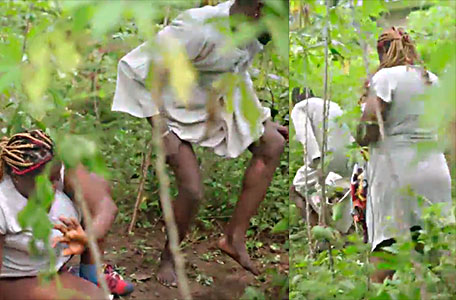 the owner of the farm caught him and they went on the run