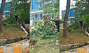 🤣 Rómpele Esas Nalgas Le Dicen Los Habitantes En Un Semáforo